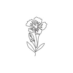 Wall Mural - Single continuous line drawing of beauty fresh dianthus for home art wall decor poster print. Printable decorative sweet william flower concept for . Trendy one line draw design vector illustration