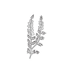 Wall Mural - Single continuous line drawing beauty fresh heather for home decor wall art poster print. Decorative calluna vulgaris flower for floral invitation card. Modern one line draw design vector illustration
