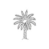 Fototapeta Dmuchawce - Single continuous line drawing of beauty and big phoenix dactylifera tree. Decorative date palm plant concept for home decor wall art poster print. Modern one line draw design vector illustration