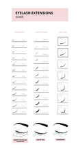 Eyelash Extension Guide Depicting Types Of False Lashes Vector Illustration.