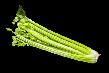 Celery branch bunch isolated on black