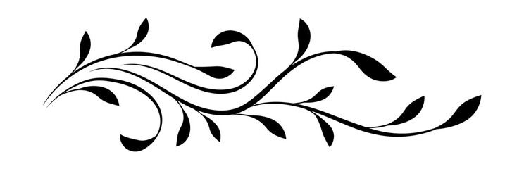 decorative floral ornament isolated on white background