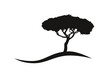 mediterranean vector umbrella pine tree silhouette