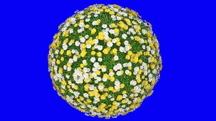 Wall Mural - animated rotation of the sphere with green grass and flowers