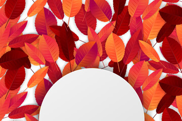 Wall Mural - Autumn leaves background. Fall banner template. Red and orange foliage. Thanksgiving season holiday concept. Realistic 3d vector illustration.