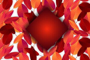 Wall Mural - Autumn leaves background. Fall banner template. Red and orange foliage. Thanksgiving season holiday concept. Realistic 3d vector illustration.