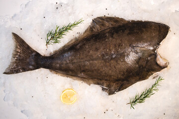 Raw fresh organic halibut on ice. Top view 