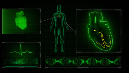 Wall Mural - AV Node signals of human half heart 3d illustration