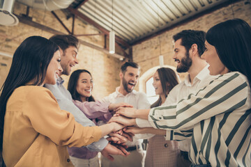 Sticker - Photo of handsome business men pretty ladies people partners spacious big office seven members best friends hold arms celebrate successful project investment teammates professionals indoors