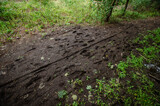Fototapeta Sawanna - 
marks in the mud