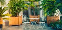 Metal Garden Furniture, Stools And Table Standing In Tropical Plants Orangery With Palms In Wooden Flowerbeds. Relaxing Time In Biophilic Interior Style. Greenhouse Cafe. Wide Banner. Copy Space.