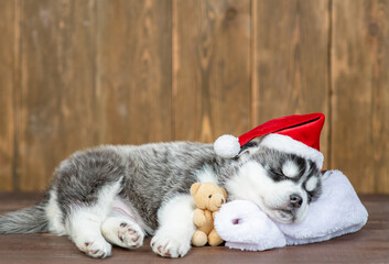 Poster - Cute husky puppy wearing a red santa`s hat hugs toy bear and sleeps on pillow  on wooden background