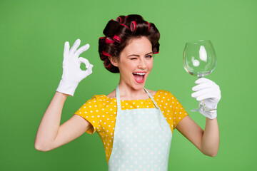 Poster - Photo positive maid girl use dishwasher clean whine glass enjoy good quality show okay sign wink blink wear yellow dotted dress white latex gloves isolated green color background