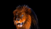 FRACTAL LION VIDEO 4K