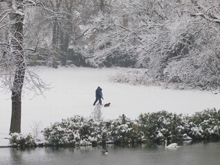 Wall Mural - Park in Winter Snow 