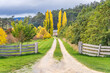 © Gary Chapman/Austockphoto - Wheel tracks going down a country drive way between tall Autumn trees