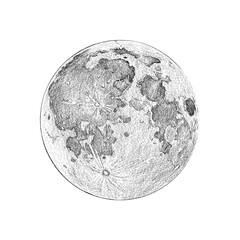 moon full phase, illustration sketch style, full moon image on white background.