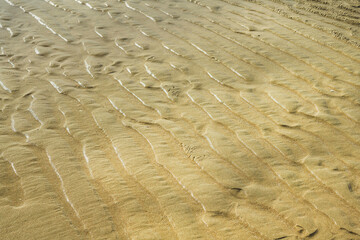 sand waves on beach background