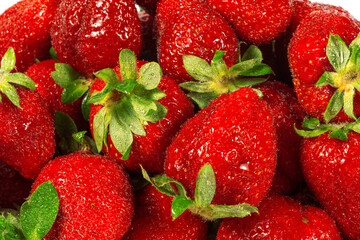 Wall Mural - Ripe strawberry on white background