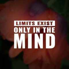 Wall Mural - Best inspirational quote for success. limits exist only in the mind
