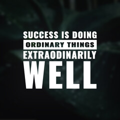Wall Mural - Best inspirational quote for success. Success is doing ordinary things extraordinarily well
