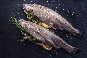 Wall Mural - fresh rainbow fish trout on black stone background with vegetables 