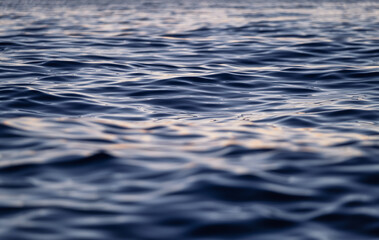 Wall Mural - waves on the sea surface as a background. seascape during sunset. nature composition. mediterranean 