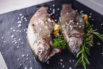 Wall Mural - fresh rainbow fish trout on black stone background with vegetables 