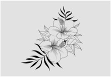 Vector Illustration Of Black White Lining Sketch Drawing Flower Isolated On White Background