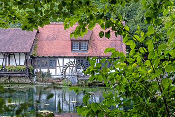 Wall Mural - Blautopf in Blaubeuren