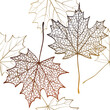 Autumn seamless pattern with maple leaves. Vector illustration