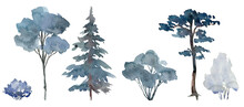 Snowy Trees And Shrubs, Winter Scene Elements, Bluish Winter Forest