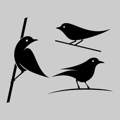 Poster - bird logo design icon vector