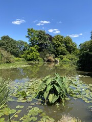 Canvas Print - Etang du parc de Bagatelle à Paris