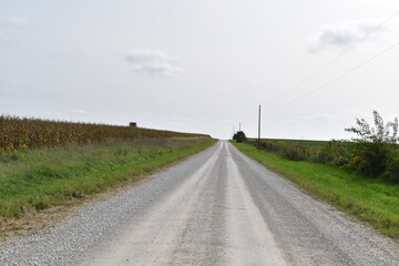 Poster - Gravel  Road