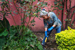 © Bruno Daniel - A mature woman digging in the ground at her home garden