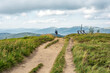 hiker on the path in the polish Bieszczady mountains