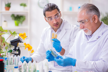 two chemists working in the lab