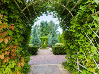 Beautiful vegetation park. Landscaping. Summer sunny day