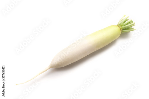 大根野菜日本白背景stock Photo Adobe Stock 大根野菜日本白背景stock Photo Adobe Stock