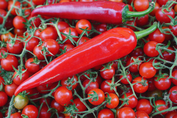 Wall Mural - two hot chili peppers on red cherry tomatoes