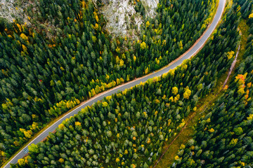 Wall Mural - Aerial view of curve road and colorful autumn forest in Finland.