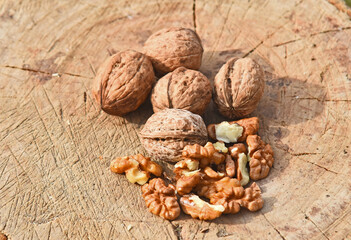 walnuts on a wood log. Harvesting walnuts