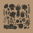 © Maria - Vegetables and herbs Vector silhouettes collection on brown background. Organic farm food set. Vector illustration