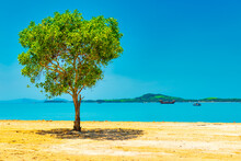 Green Tree In Desert And Landscape With Island On Blue Sea. Thailand, Ko Lanta Island