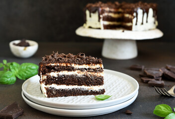 Wall Mural - Slice of chocolate cake. Chocolate truffle cake with cream cheese on a dark background.