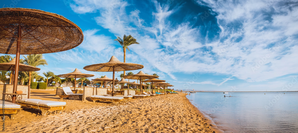 Relax under parasol on the beach of Red Sea, Egypt - obrazy, fototapety, plakaty 