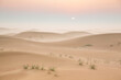 © katiekk2 - sunrise in a misty desert