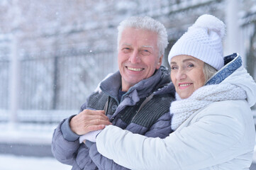 Poster - Happy senior couple at winter outdoors