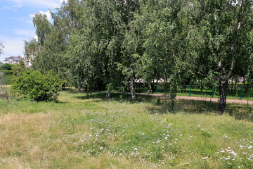 Wall Mural - Trees in a park in a housing estate